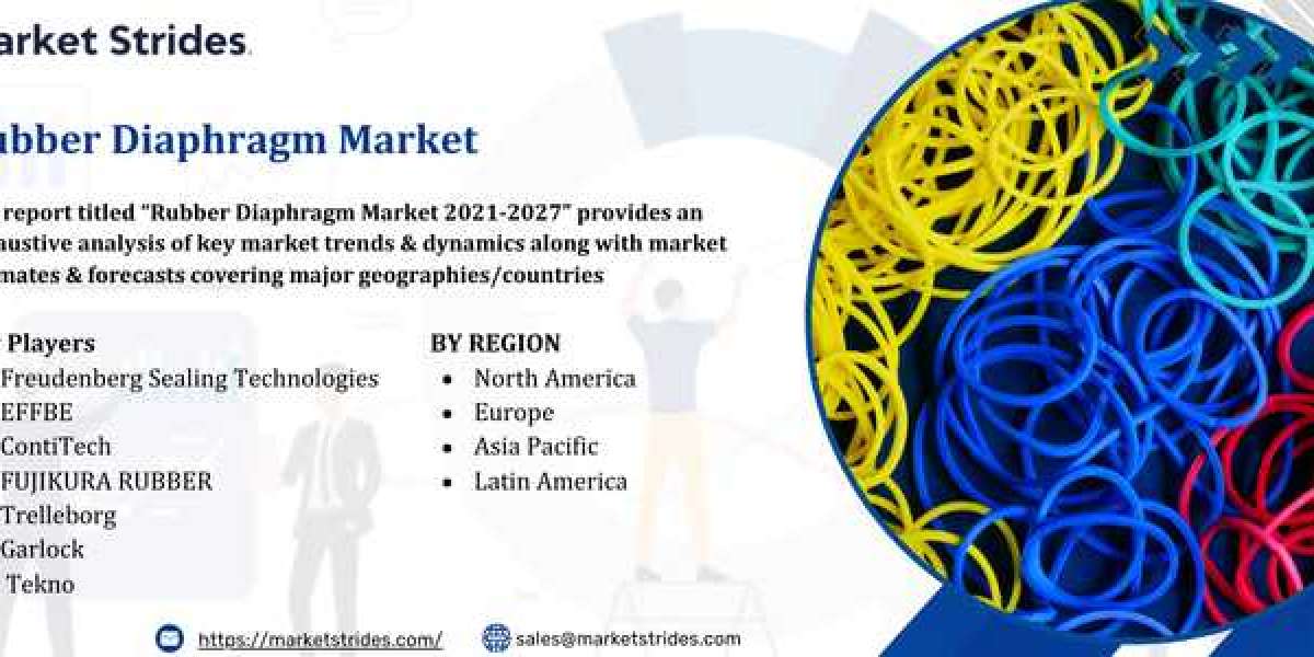 Rubber Diaphragm Market: Insights and Forecast to 2033