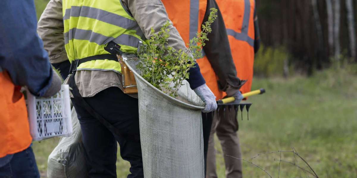 Find Affordable Tree Care Solutions in Houston Today