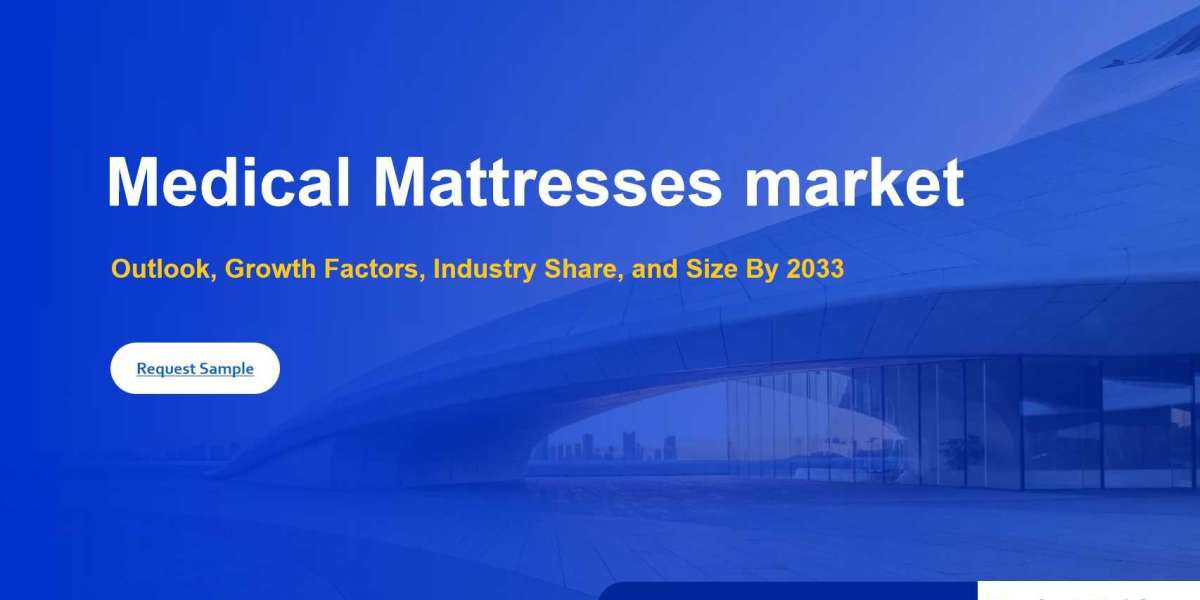 Medical Mattresses Market Analysis 2025-2033: Demand, Innovation, and Competitive Landscape