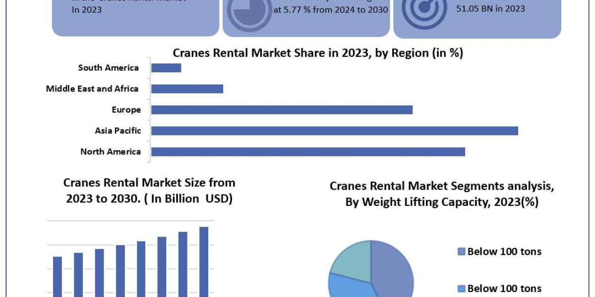 Cranes Rental Market Report Cover Market Size, Top Manufacturers, Estimate and Forecast 2030