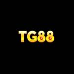 tg88tg88