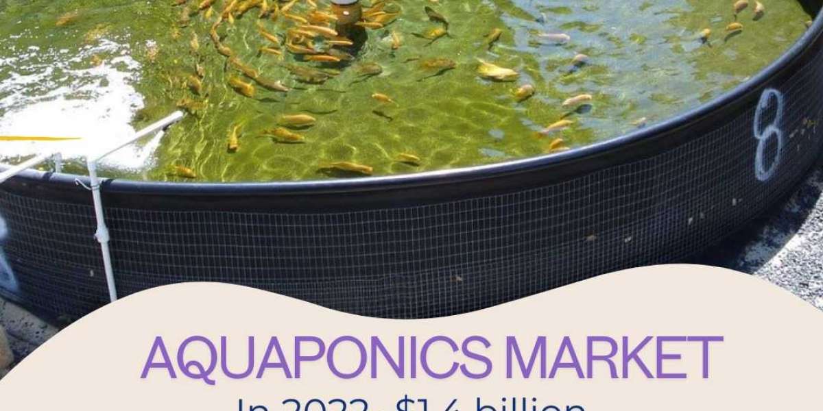 Aquaponics Market Analysis, Size, Share, Growth, Trends, and Forecasts by 2031