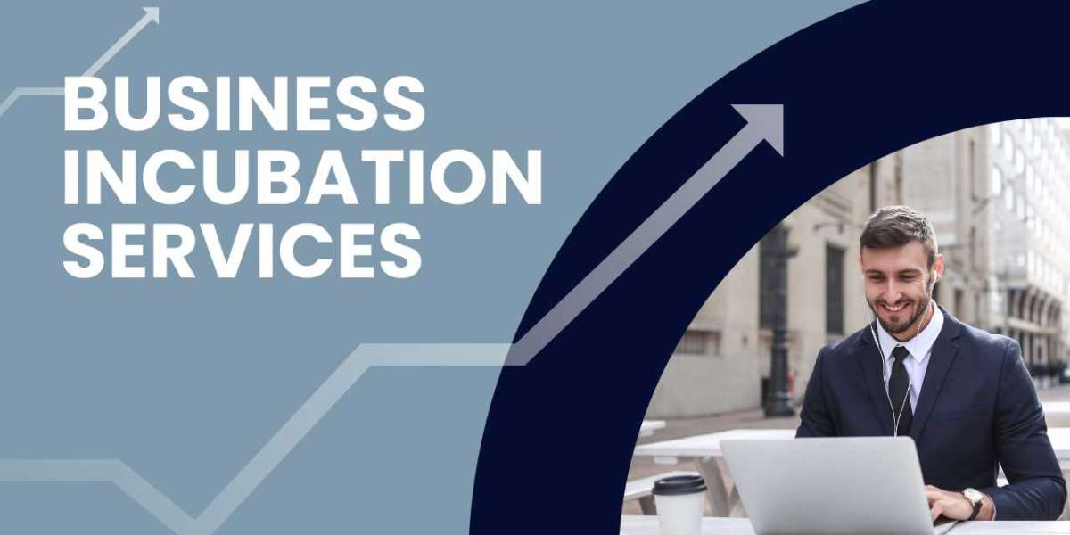 Transform Ideas into Success with Business Incubation Services