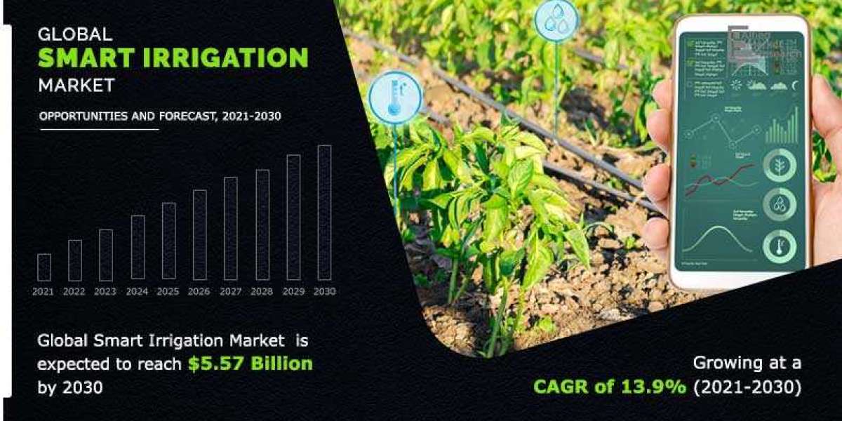 Irrigation Controller Market Analysis, Size, Share, Growth, Trends, and Forecasts by 2031