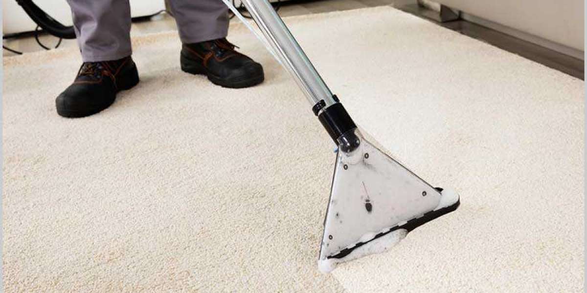 The Health Benefits of Professional Carpet Cleaning for Your Home