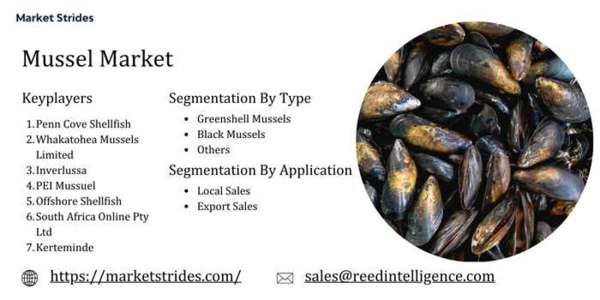 Mussel Market Size, Share, and Forecast to 2033 | Market Strides