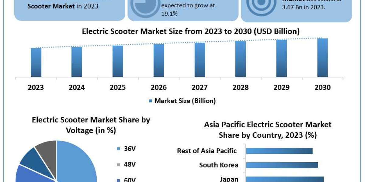 Electric Scooter Market Research Statistics, Business Strategy And Industry Share 2030