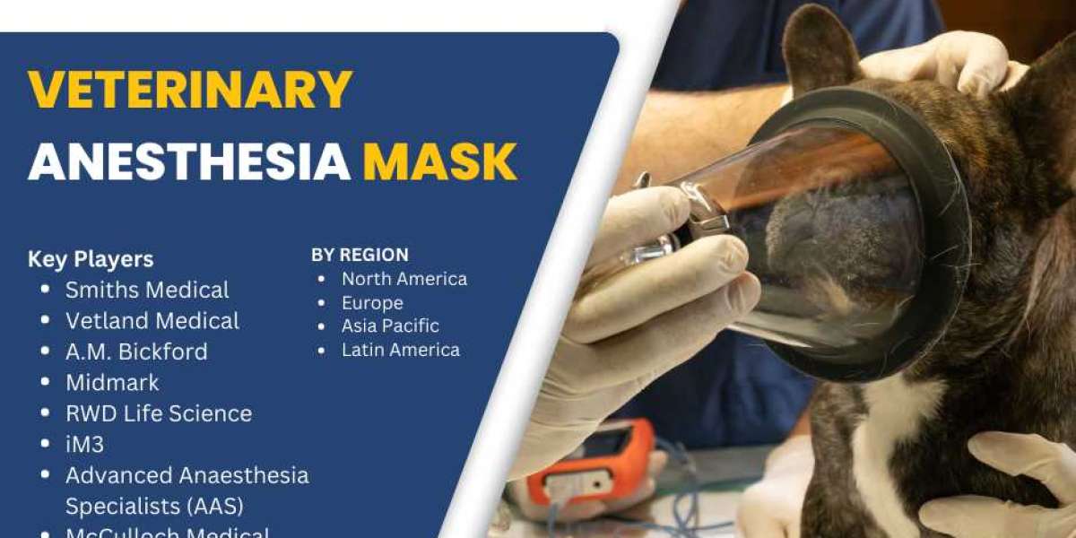 Veterinary Anesthesia Mask Market Analysis 2025-2033: Demand, Innovation, and Competitive Landscape