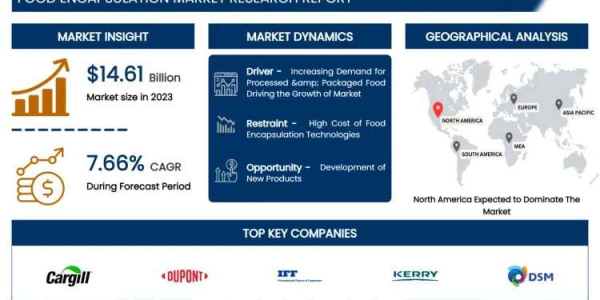 Global Food Encapsulation Market CAGR Of 7.66%, Business Developments And Demand Forecast 2032