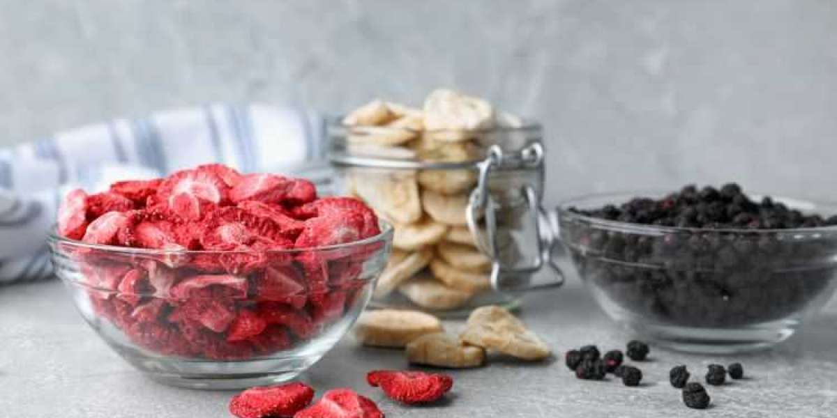 Europe Freeze-Dried Fruit Products Market Size & Analysis: 2025-2033