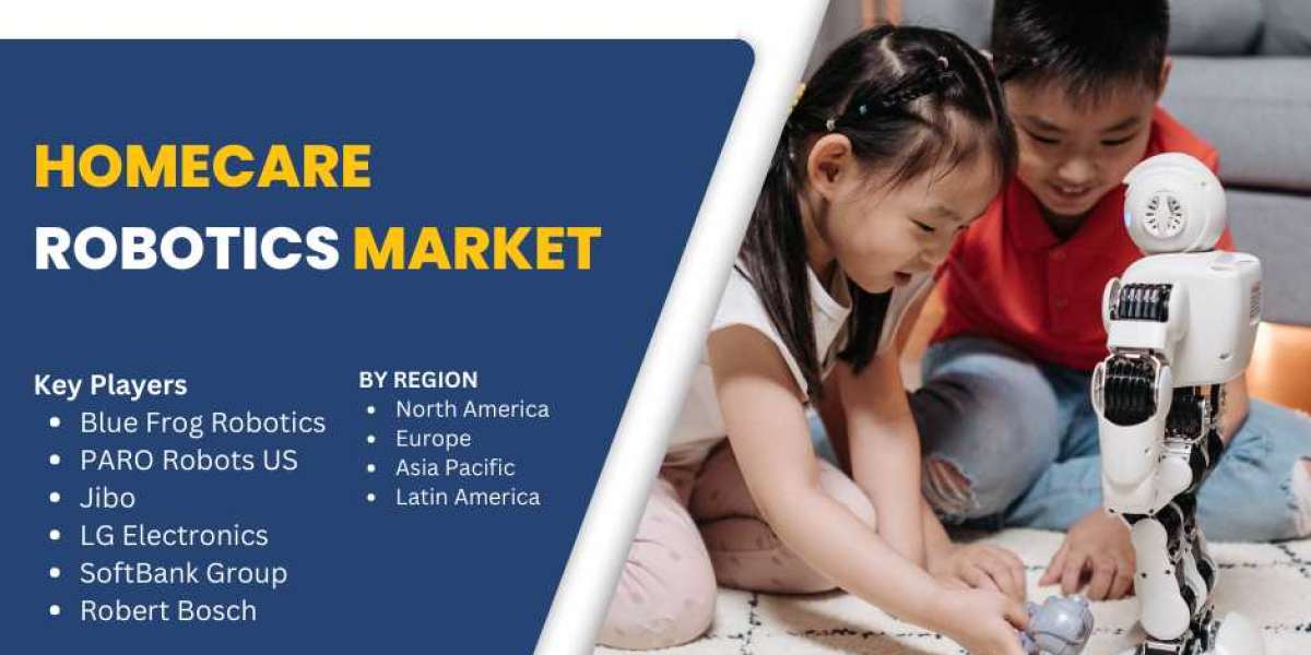 Homecare Robotics Market Outlook 2025-2033: Opportunities and Growth