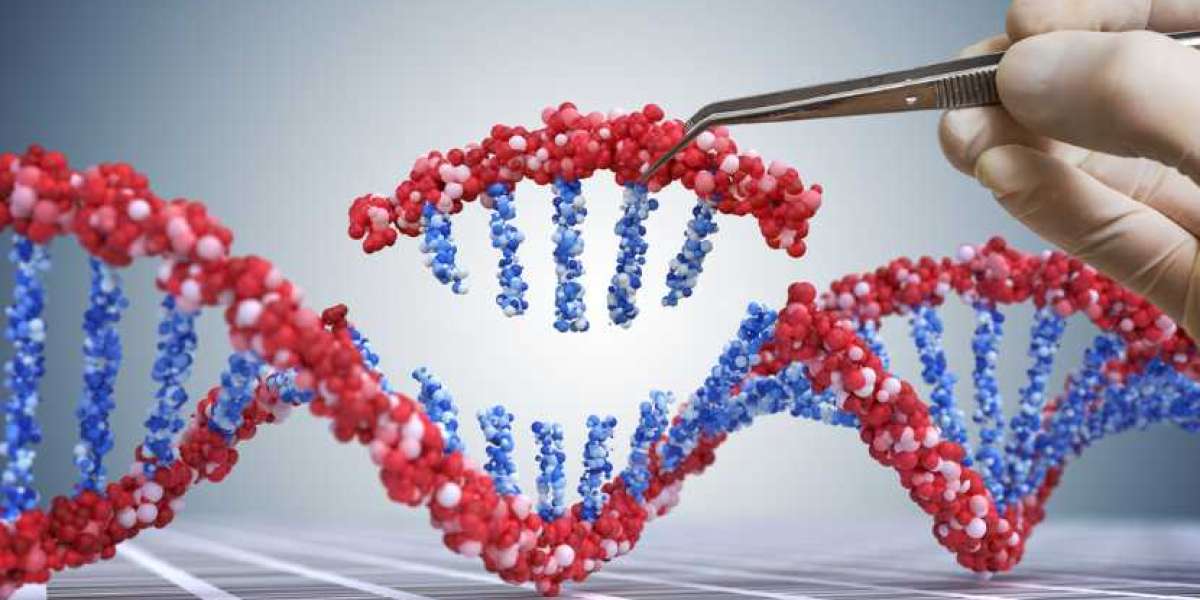 Global Next Generation Sequencing Market Share, Size, Trends, Outlook, Growth & Forecast | 2024 - 2032