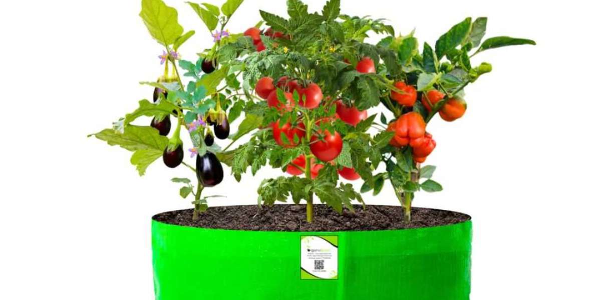 The Evolution of Planter Bags: A Modern Approach to Gardening