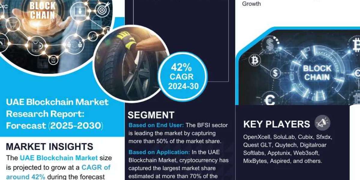 UAE Blockchain Market Expanding at a CAGR of 42% during 2025-2030